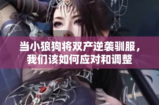 当小狼狗将双产逆袭驯服，我们该如何应对和调整