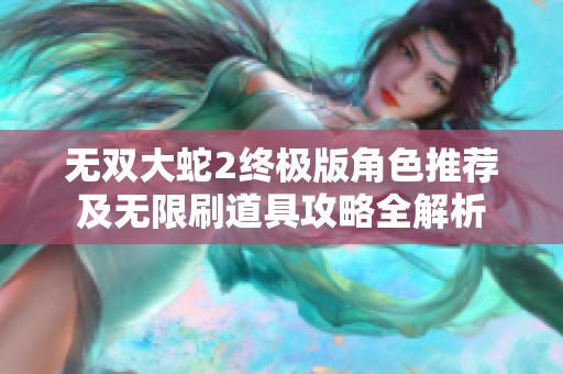 无双大蛇2终极版角色推荐及无限刷道具攻略全解析