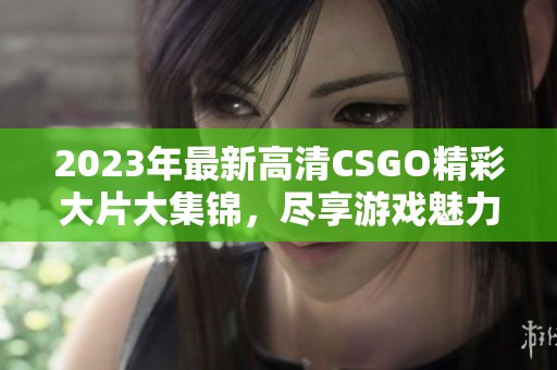 2023年最新高清CSGO精彩大片大集锦，尽享游戏魅力