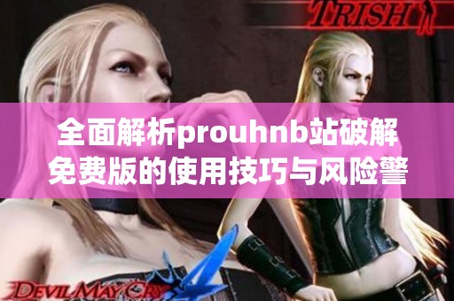 全面解析prouhnb站破解免费版的使用技巧与风险警示