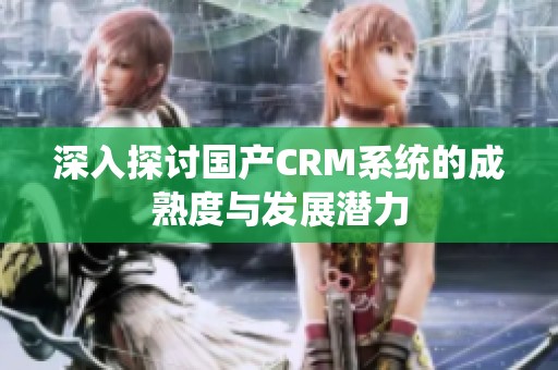 深入探讨国产CRM系统的成熟度与发展潜力