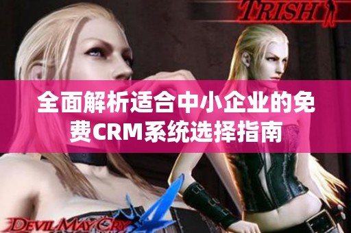 全面解析适合中小企业的免费CRM系统选择指南