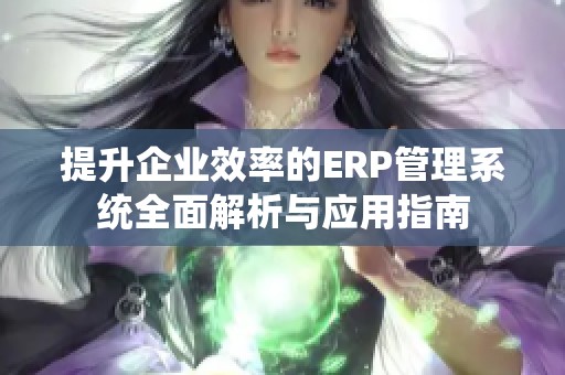 提升企业效率的ERP管理系统全面解析与应用指南