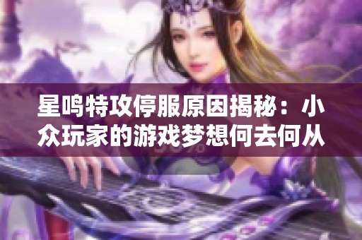 星鸣特攻停服原因揭秘：小众玩家的游戏梦想何去何从