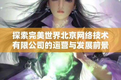 探索完美世界北京网络技术有限公司的运营与发展前景