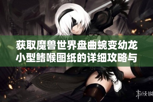 获取魔兽世界盘曲蜿变幼龙小型鳍喉图纸的详细攻略与技巧