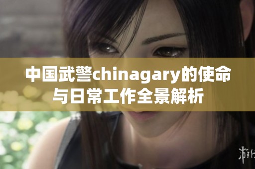 中国武警chinagary的使命与日常工作全景解析