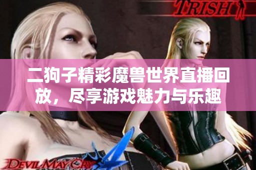 二狗子精彩魔兽世界直播回放，尽享游戏魅力与乐趣