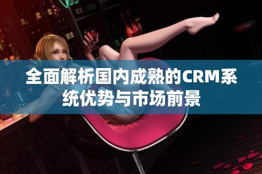 全面解析国内成熟的CRM系统优势与市场前景