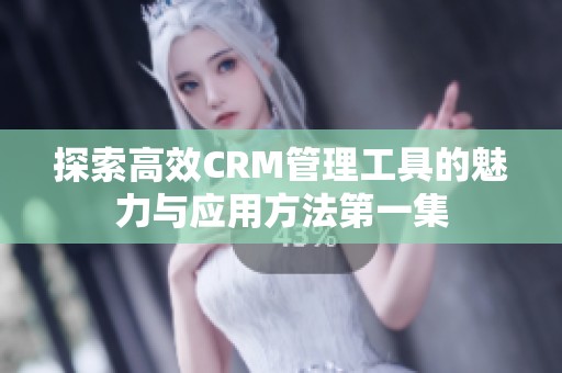 探索高效CRM管理工具的魅力与应用方法第一集