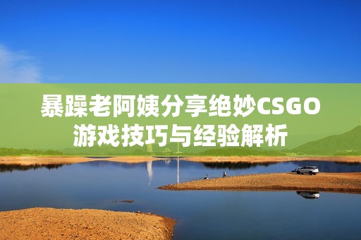 暴躁老阿姨分享绝妙CSGO游戏技巧与经验解析