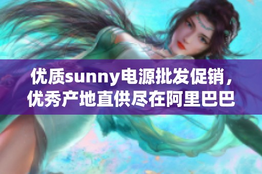 优质sunny电源批发促销，优秀产地直供尽在阿里巴巴