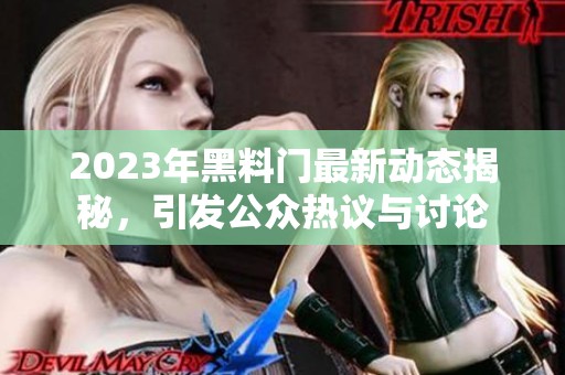 2023年黑料门最新动态揭秘，引发公众热议与讨论