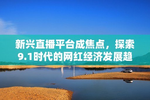 新兴直播平台成焦点，探索9.1时代的网红经济发展趋势