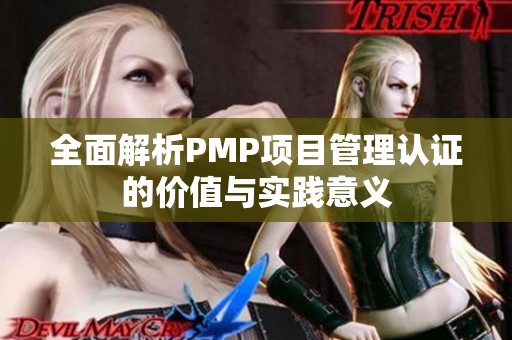 全面解析PMP项目管理认证的价值与实践意义