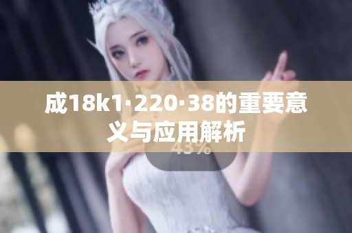 成18k1·220·38的重要意义与应用解析