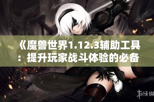 《魔兽世界1.12.3辅助工具：提升玩家战斗体验的必备助手》