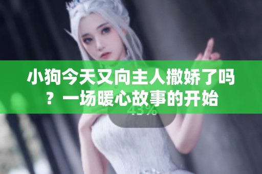 小狗今天又向主人撒娇了吗？一场暖心故事的开始