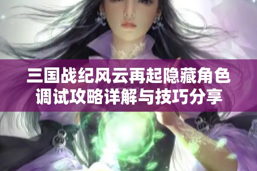 三国战纪风云再起隐藏角色调试攻略详解与技巧分享