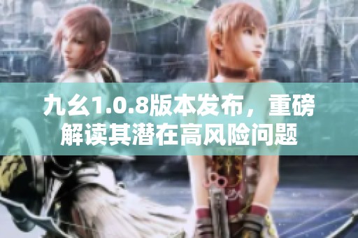 九幺1.0.8版本发布，重磅解读其潜在高风险问题