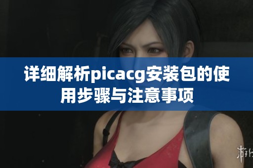 详细解析picacg安装包的使用步骤与注意事项
