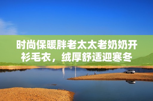 时尚保暖胖老太太老奶奶开衫毛衣，绒厚舒适迎寒冬
