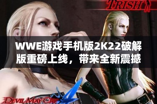 WWE游戏手机版2K22破解版重磅上线，带来全新震撼体验