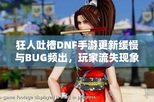 狂人吐槽DNF手游更新缓慢与BUG频出，玩家流失现象严重