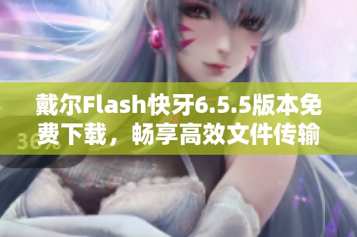 戴尔Flash快牙6.5.5版本免费下载，畅享高效文件传输体验