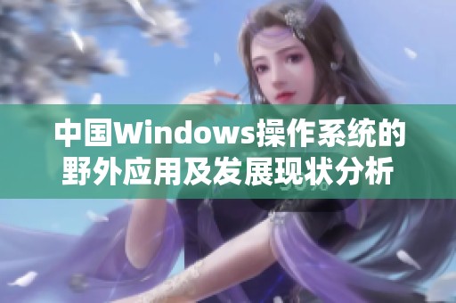 中国Windows操作系统的野外应用及发展现状分析