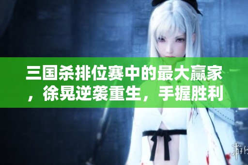 三国杀排位赛中的最大赢家，徐晃逆袭重生，手握胜利秘诀!