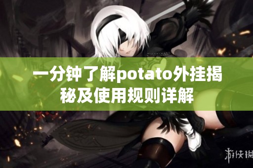 一分钟了解potato外挂揭秘及使用规则详解