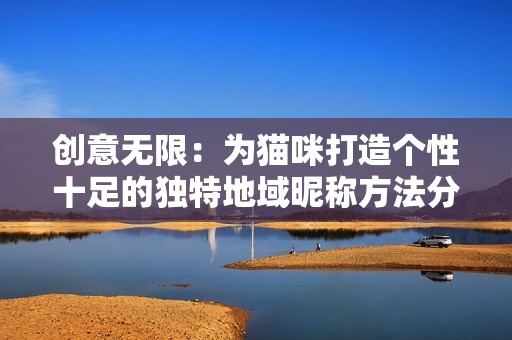 创意无限：为猫咪打造个性十足的独特地域昵称方法分享