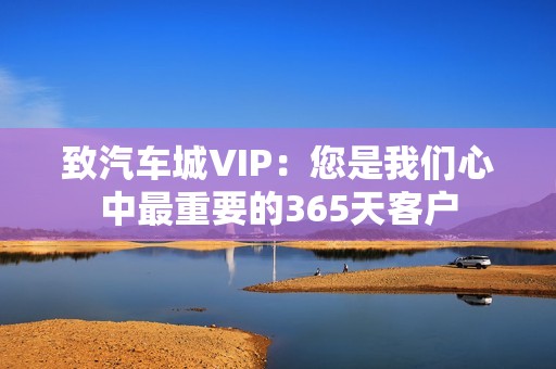 致汽车城VIP：您是我们心中最重要的365天客户