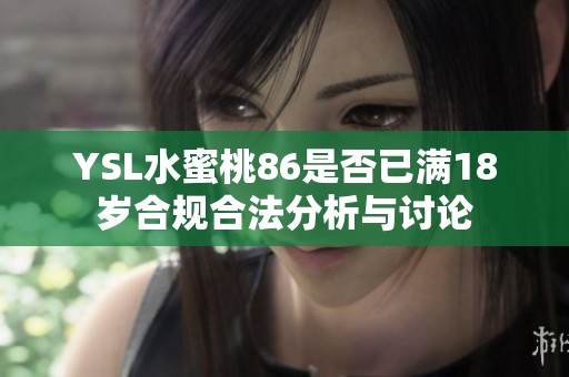 YSL水蜜桃86是否已满18岁合规合法分析与讨论