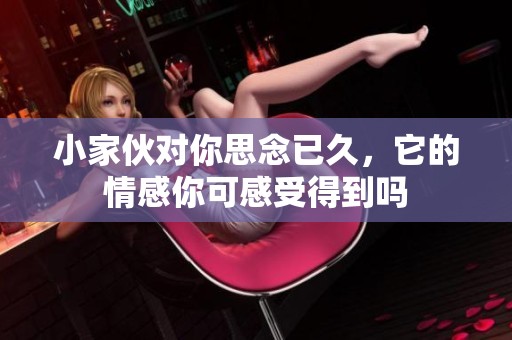 小家伙对你思念已久，它的情感你可感受得到吗
