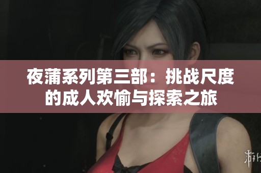 夜蒲系列第三部：挑战尺度的成人欢愉与探索之旅