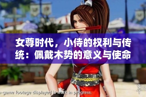 女尊时代，小侍的权利与传统：佩戴木势的意义与使命