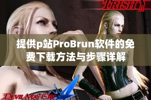 提供p站ProBrun软件的免费下载方法与步骤详解