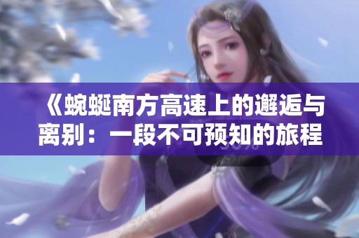 《蜿蜒南方高速上的邂逅与离别：一段不可预知的旅程》