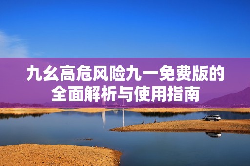 九幺高危风险九一免费版的全面解析与使用指南