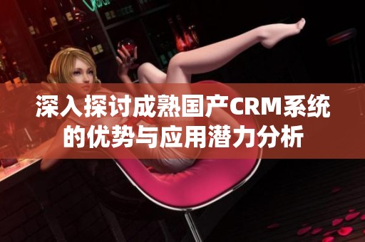 深入探讨成熟国产CRM系统的优势与应用潜力分析