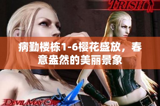 病勤楼栋1-6樱花盛放，春意盎然的美丽景象