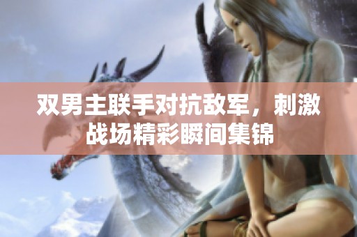 双男主联手对抗敌军，刺激战场精彩瞬间集锦
