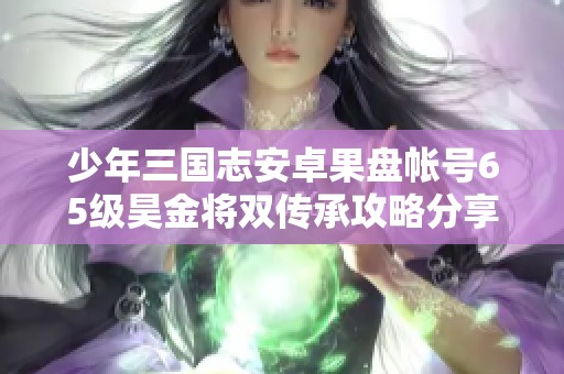 少年三国志安卓果盘帐号65级昊金将双传承攻略分享