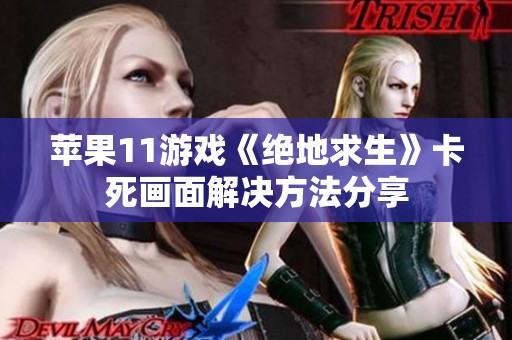 苹果11游戏《绝地求生》卡死画面解决方法分享