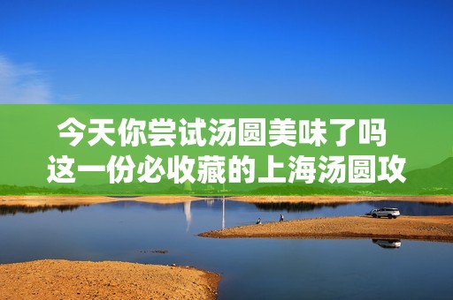 今天你尝试汤圆美味了吗 这一份必收藏的上海汤圆攻略地图