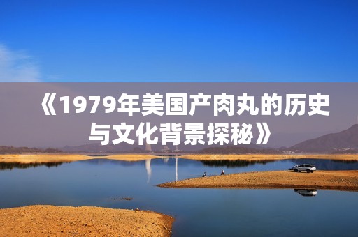 《1979年美国产肉丸的历史与文化背景探秘》