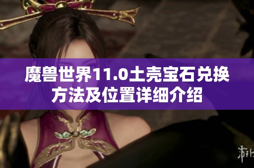 魔兽世界11.0土壳宝石兑换方法及位置详细介绍