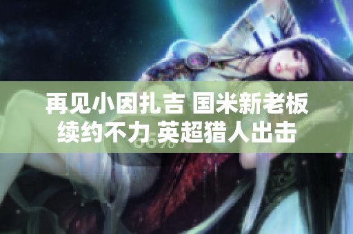 再见小因扎吉 国米新老板续约不力 英超猎人出击